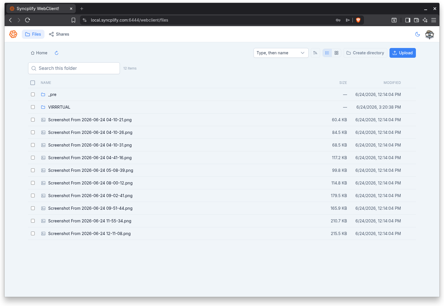 The file manager in list view