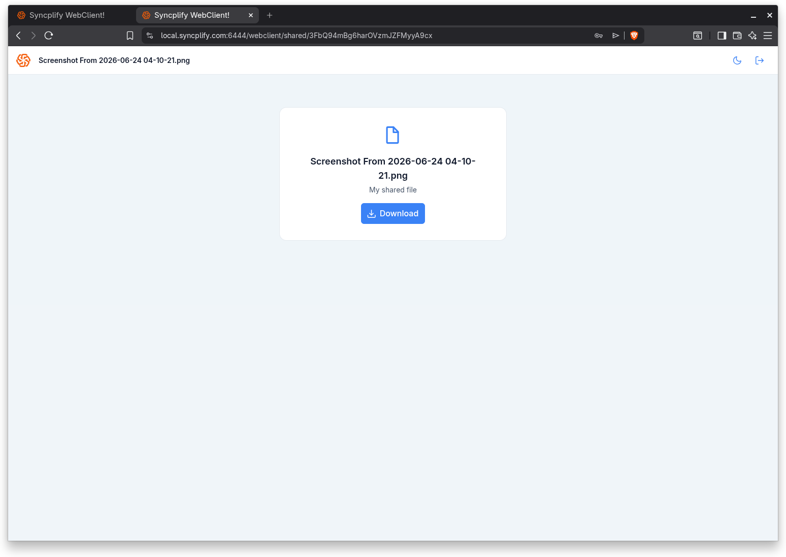 The download view for a single shared file